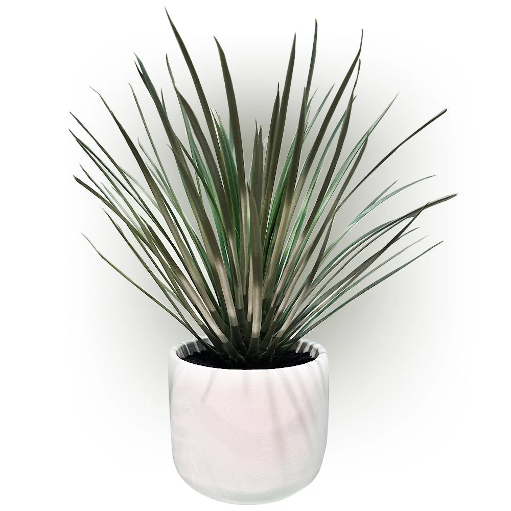 16" Whipple Yucca Silk Plant w/Cement Pot -Green/Gray