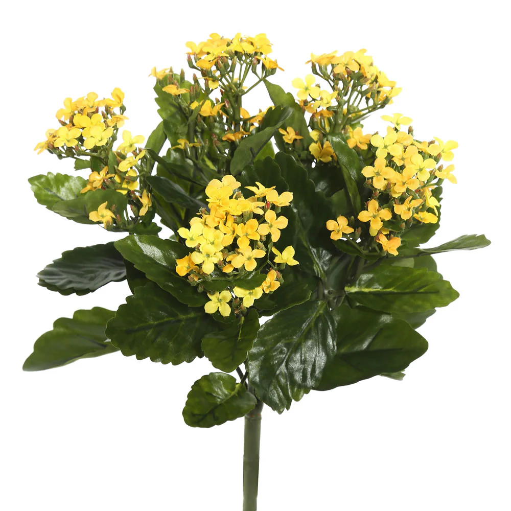 17.25" Silk Kalanchoe Flower Bush -Yellow (Pack of 4)