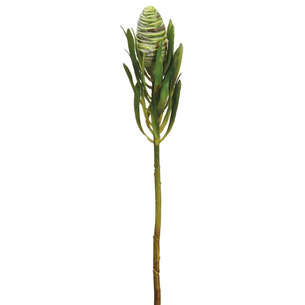 17.5" Leucadendron Artificial Stem -Green (Pack of 12)
