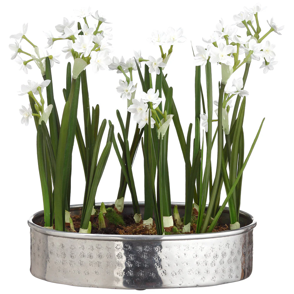 17.5"Hx13.5"W Paperwhite Silk Flower Arrangement w/Aluminum Plate -White/Green