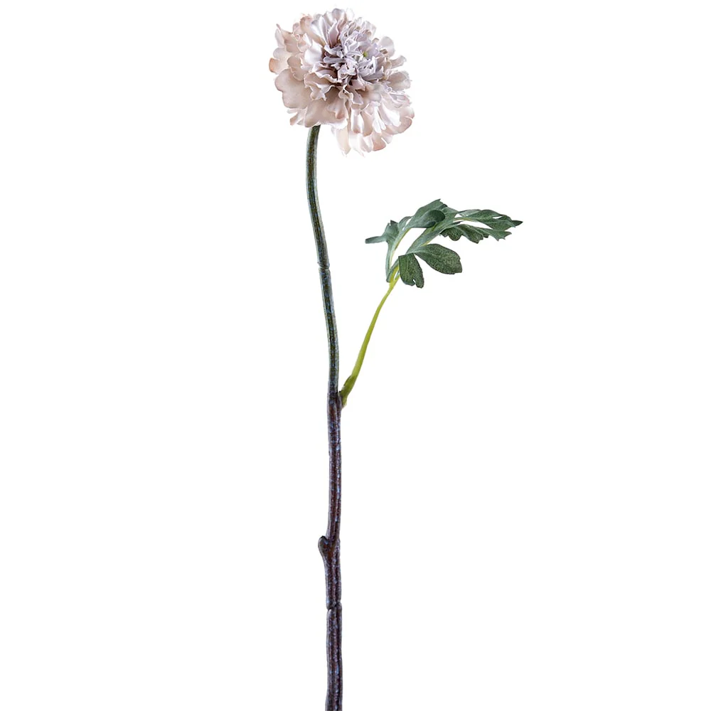 17.75" Silk Ranunculus Flower Stem -Cream (Pack of 12)