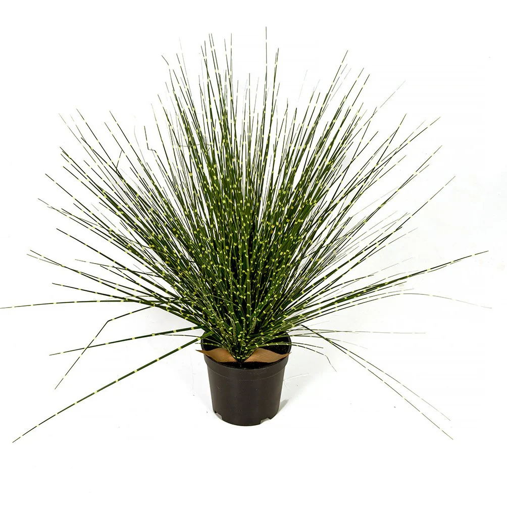 17" IFR PVC Zebra Onion Grass Artificial Plant w/Pot -Green/Yellow (Pack of 6)
