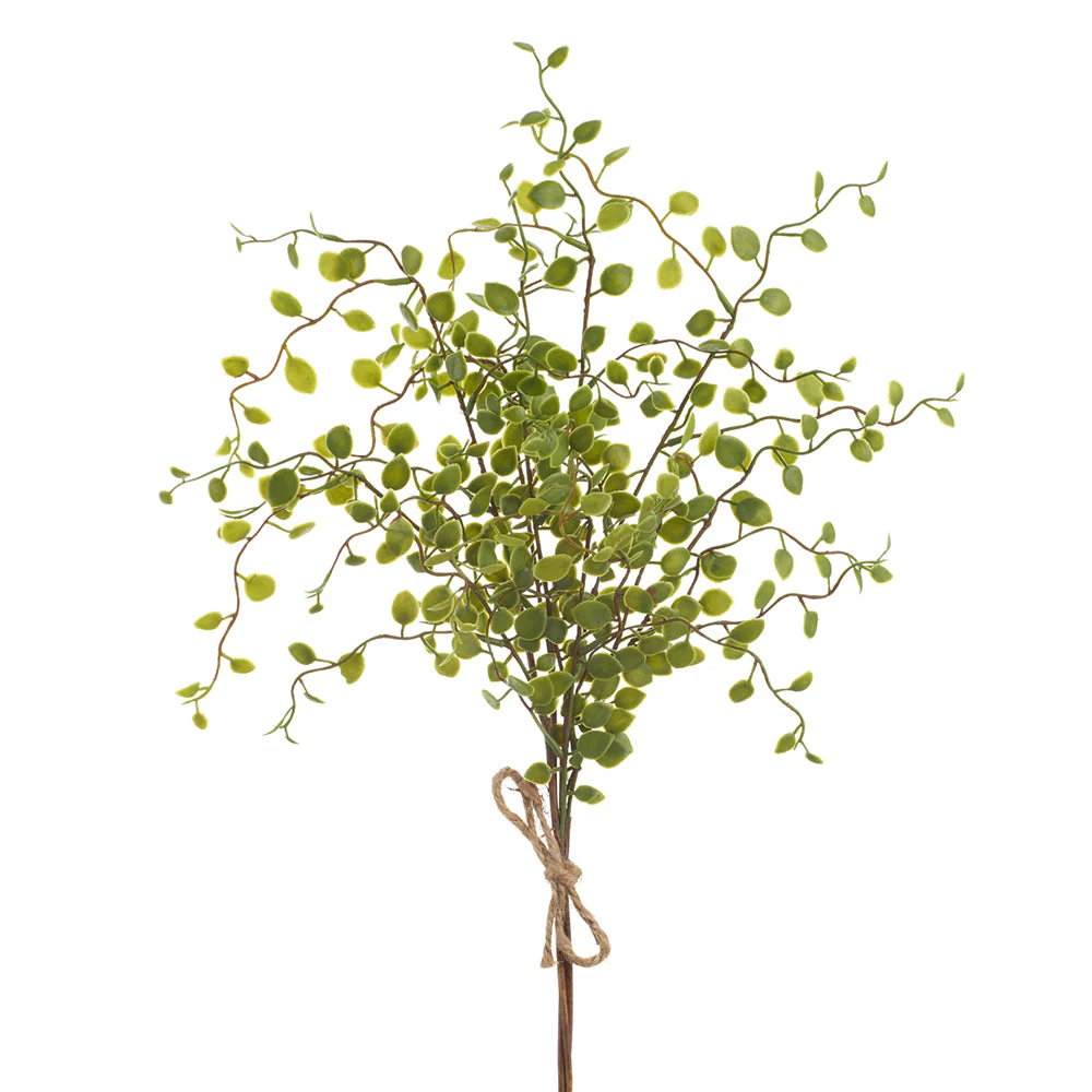 17" PE Soft-Touch Muehlenbeckia Wire Leaf Artificial Stem Bundle -Green (Pack of 24)