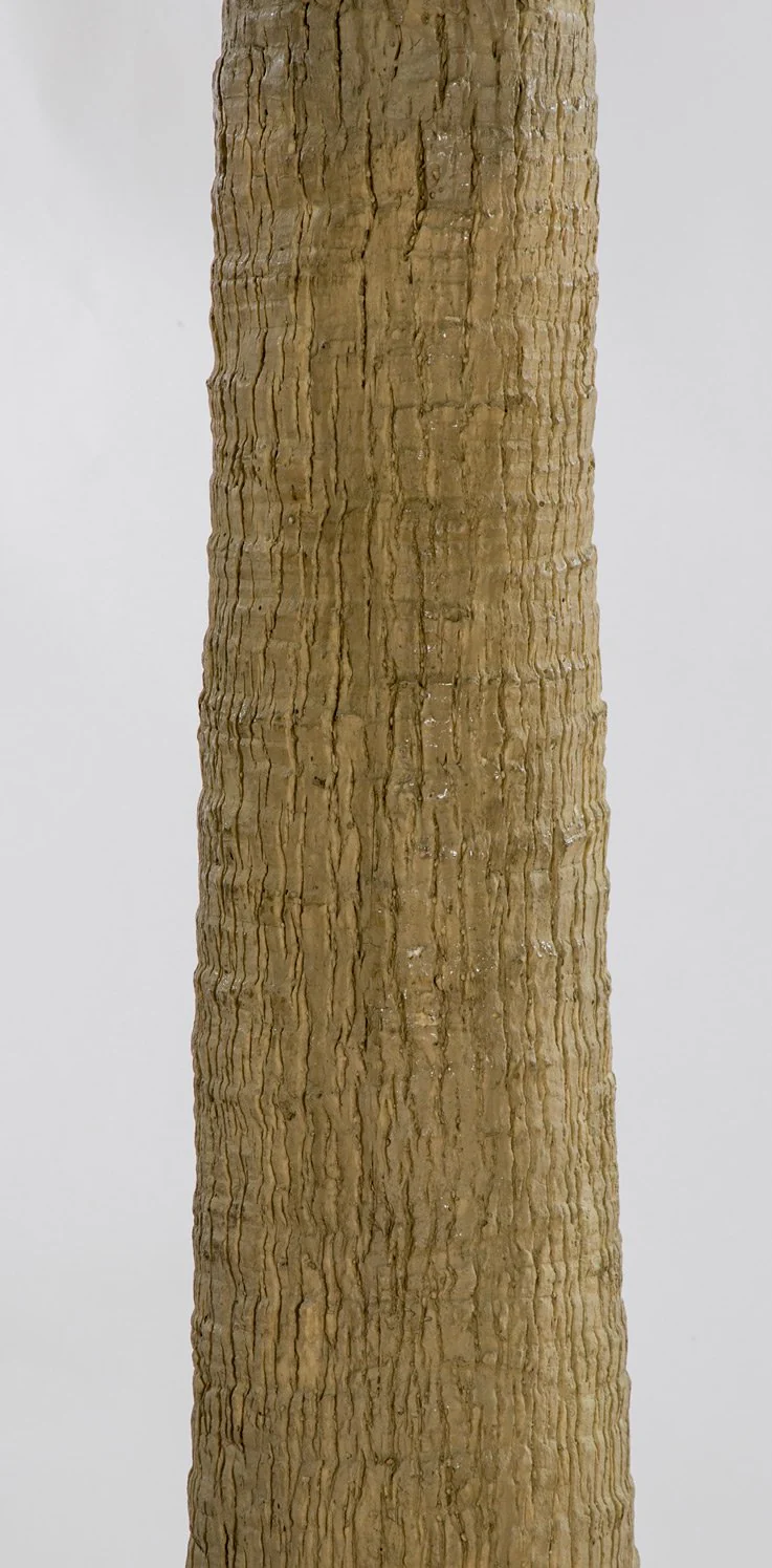 17' Royal Silk Palm Tree w/Metal Base Plate -Green - Image 3