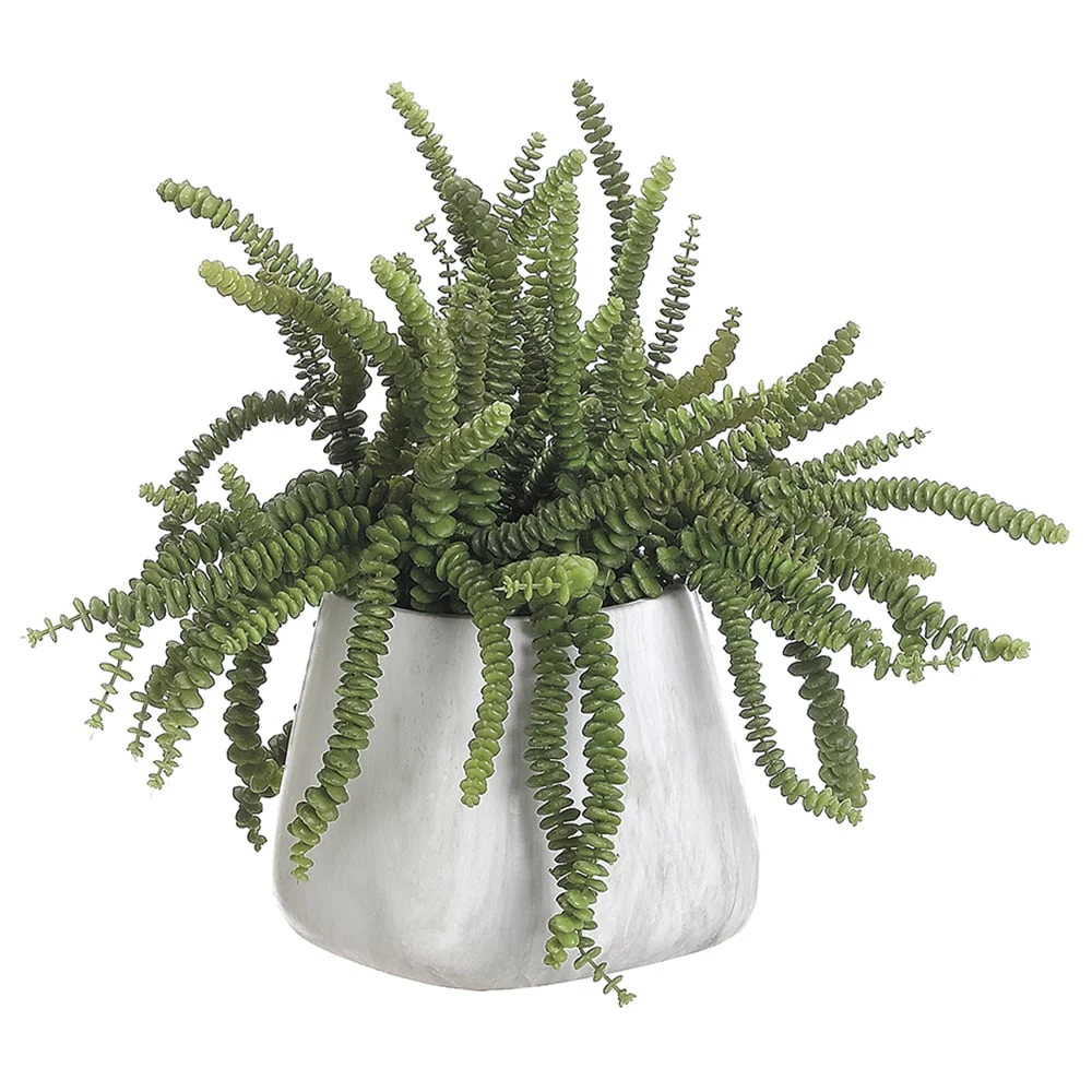 17"Hx22"W Money Succulent Artificial Plant w/Terra Cotta Pot -Green