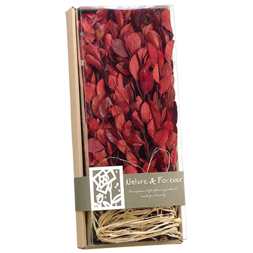 17"x7" Preserved Assorted Tea Leaf In Box -Red (Pack of 4)