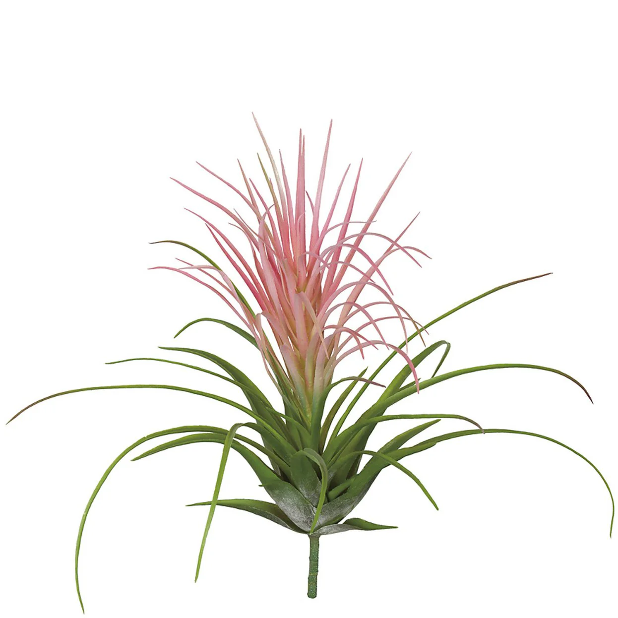 18.5" Artificial Tillandsia Air Plant -Pink/Green (Pack of 6)