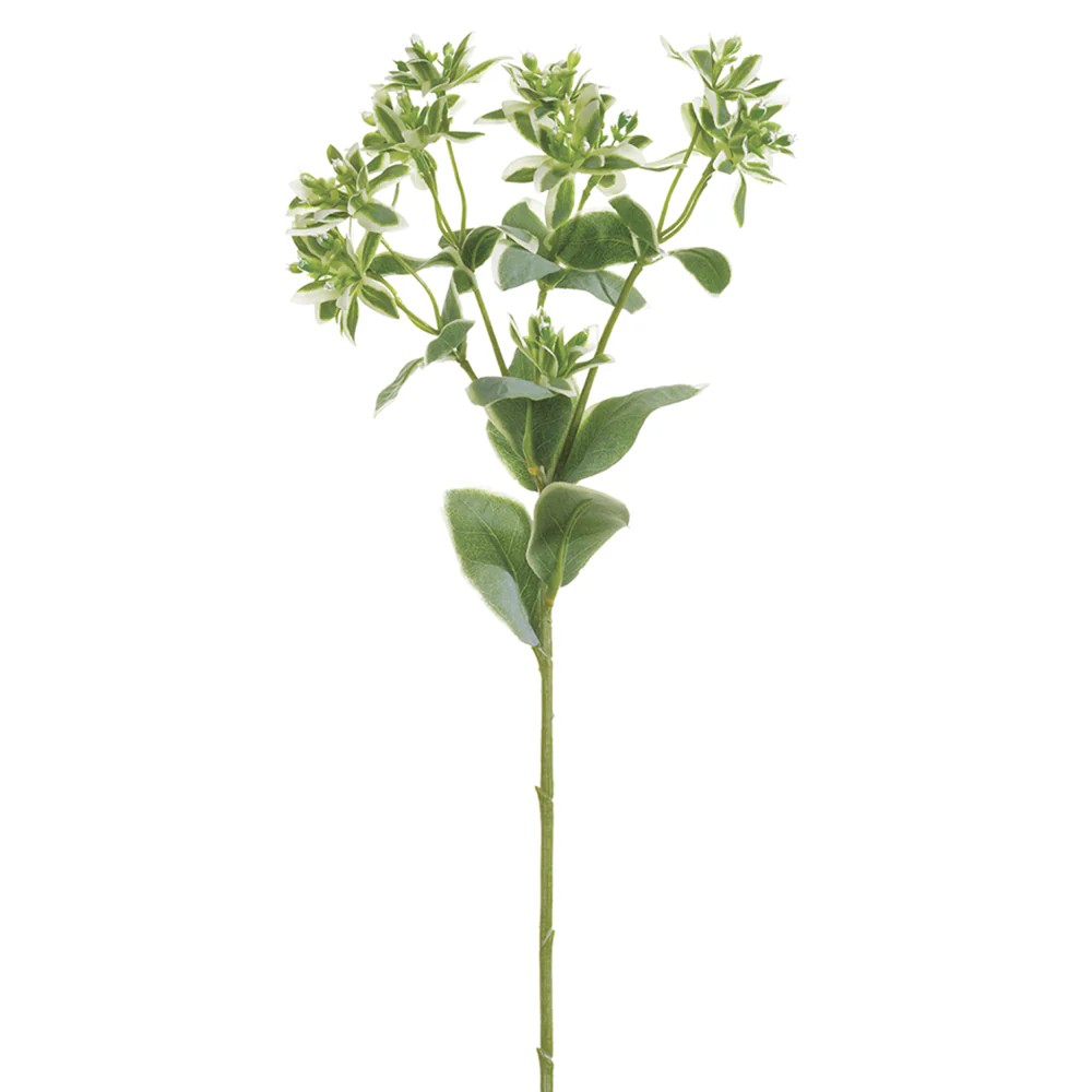 18.5" Euphorbia Silk Stem -Variegated (Pack of 36)