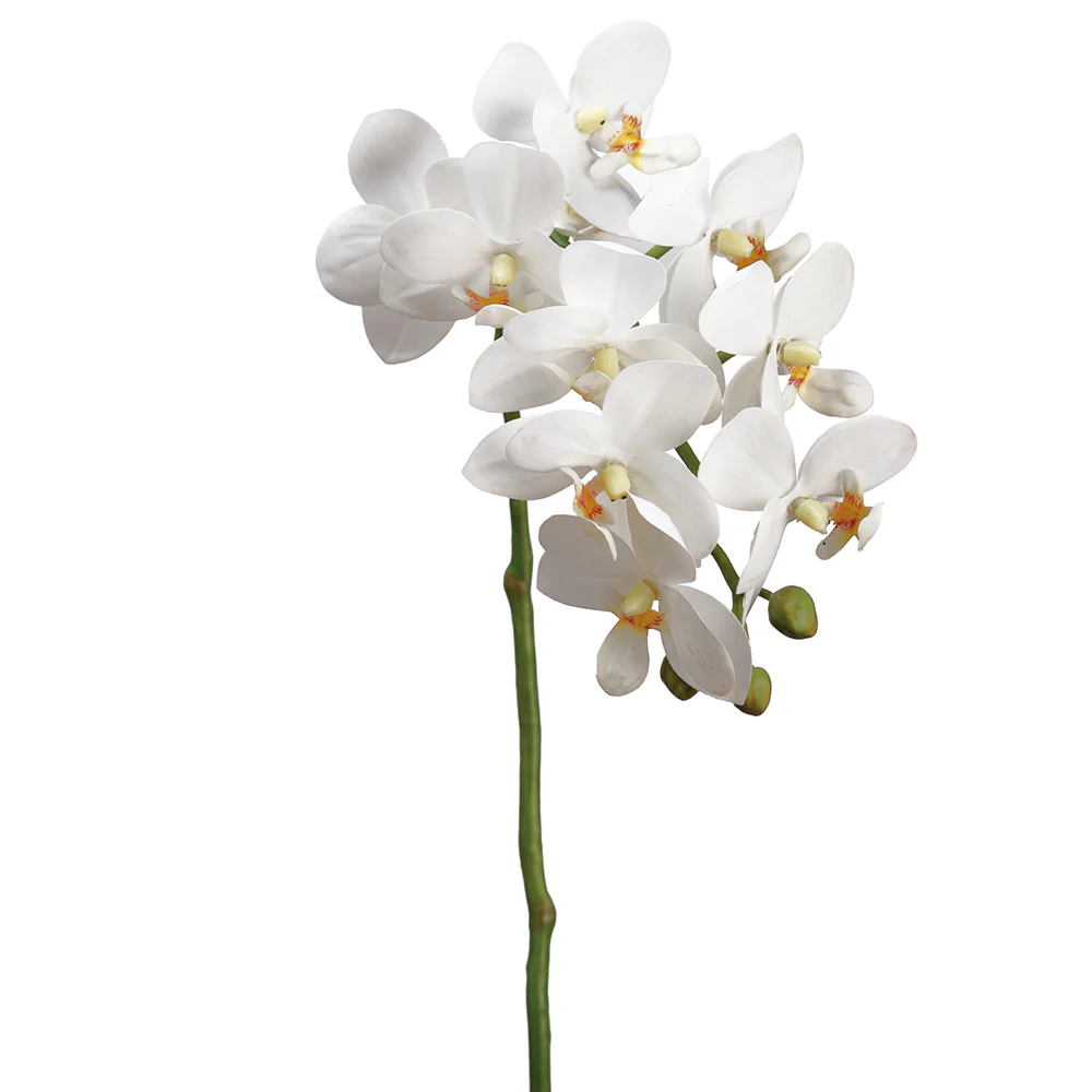 18.5" Hand-Wrapped Silk Small Phalaenopsis Orchid Flower Spray -Cream/Yellow (Pack of 12)