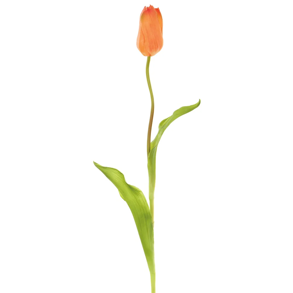 18.75" Silk French Tulip Flower Stem -Salmon (Pack of 12)