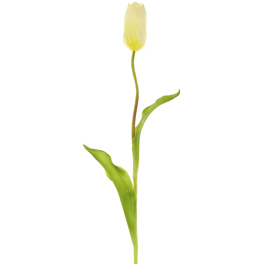 18.75" Silk French Tulip Flower Stem -White (Pack of 12)