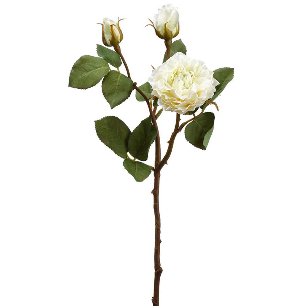 18.75" Silk Rose Flower Stem -Cream (Pack of 12)
