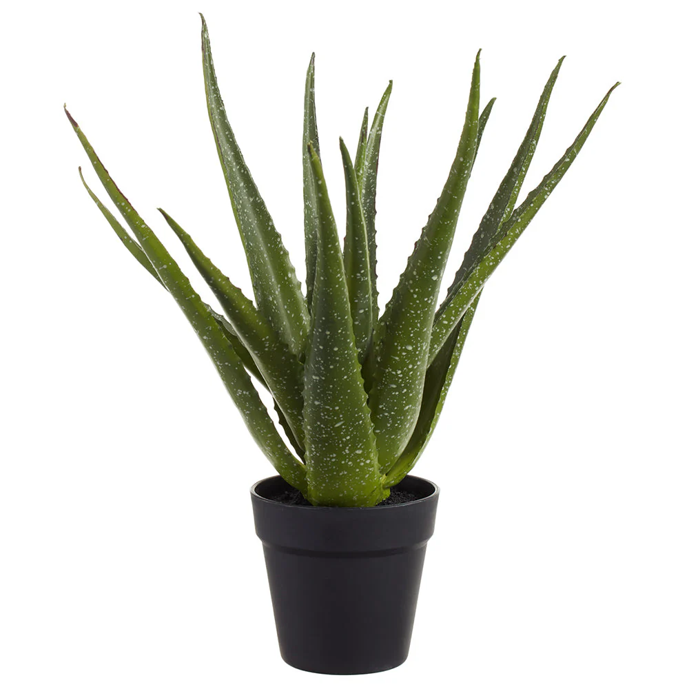 18" Aloe Artificial Plant w/Plastic Pot -2 Tone Green
