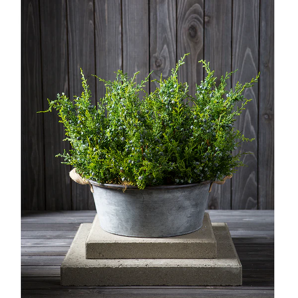 18" Artificial Juniper & Berry Stem -Green (Pack of 24) - Image 2