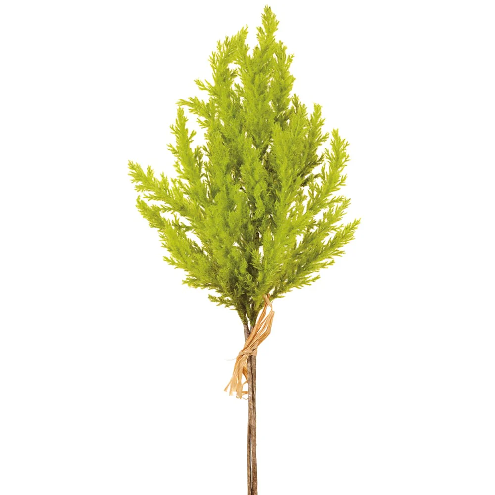 18" Artificial Pampas Grass Stem Bundle -Green (Pack of 12)