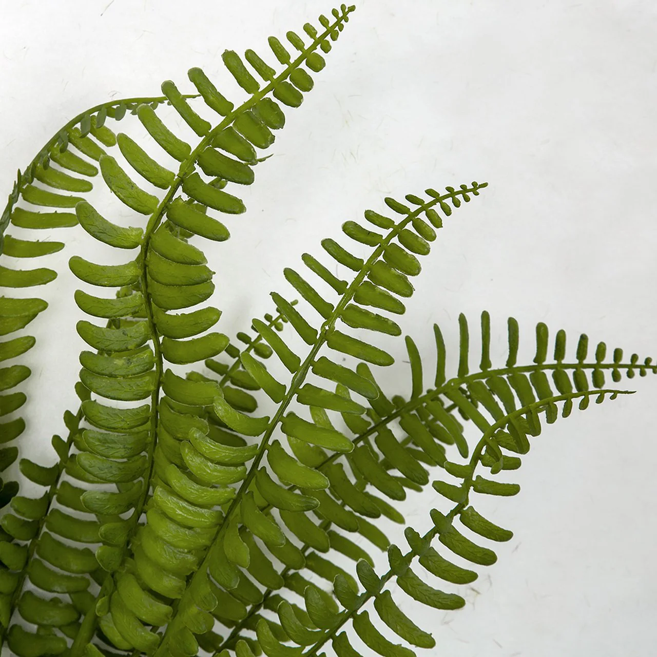 18" Artificial Plastic Boston Fern Plant -Green (Pack of 24) - Image 2