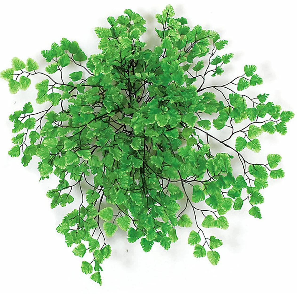 18" Hanging Maidenhair Fern Leaf Silk Plant -2 Tone Green (Pack of 6)