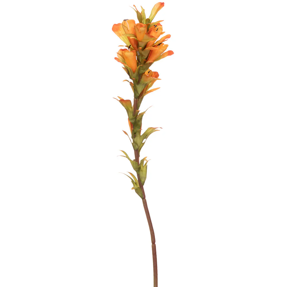 18" Indian Paintbrush Silk Flower Stem -Orange (Pack of 12)