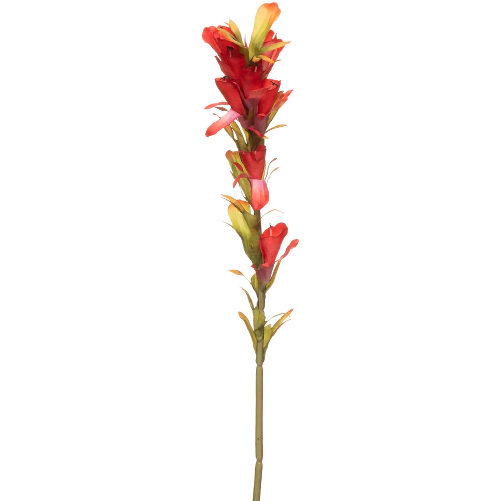 18" Indian Paintbrush Silk Flower Stem -Red (Pack of 12)