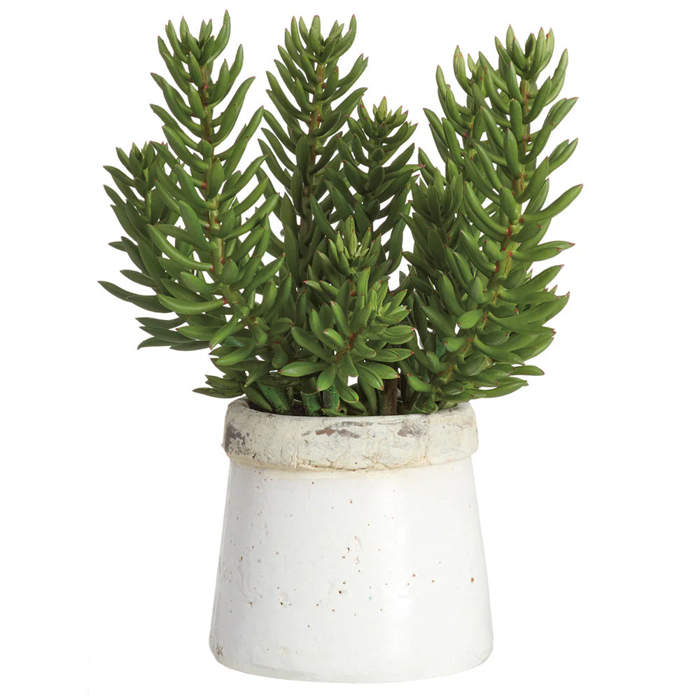 18"Hx14"W Senecio Succulent Artificial Plant w/Stoneware Container -Green