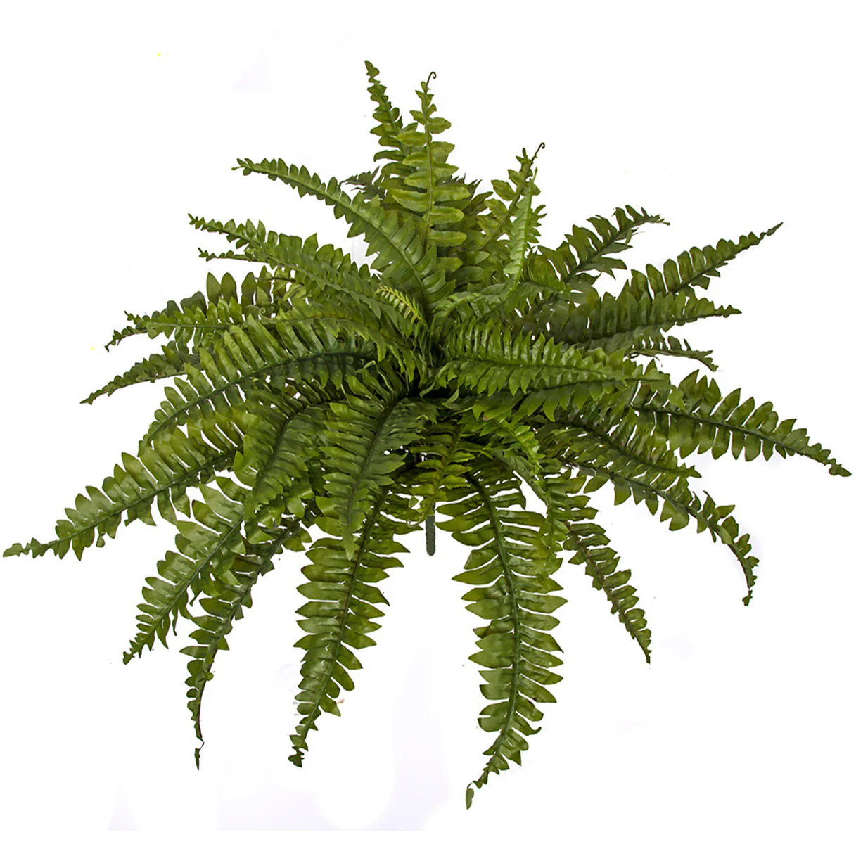 18"Hx26"W Boston Silk Fern Plant -Green (Pack of 6)