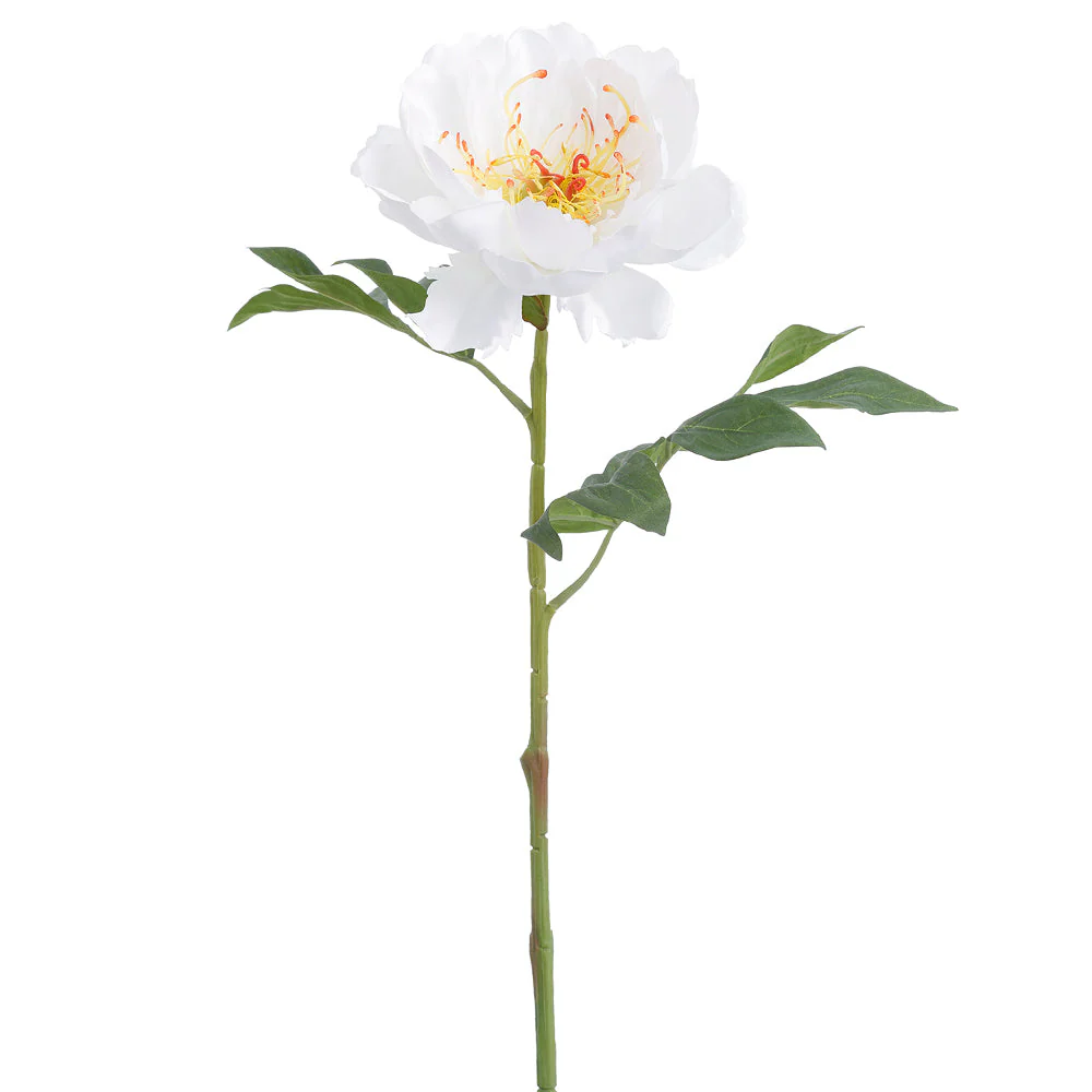 19.5" Peony Silk Flower Stem -Cream (Pack of 12)