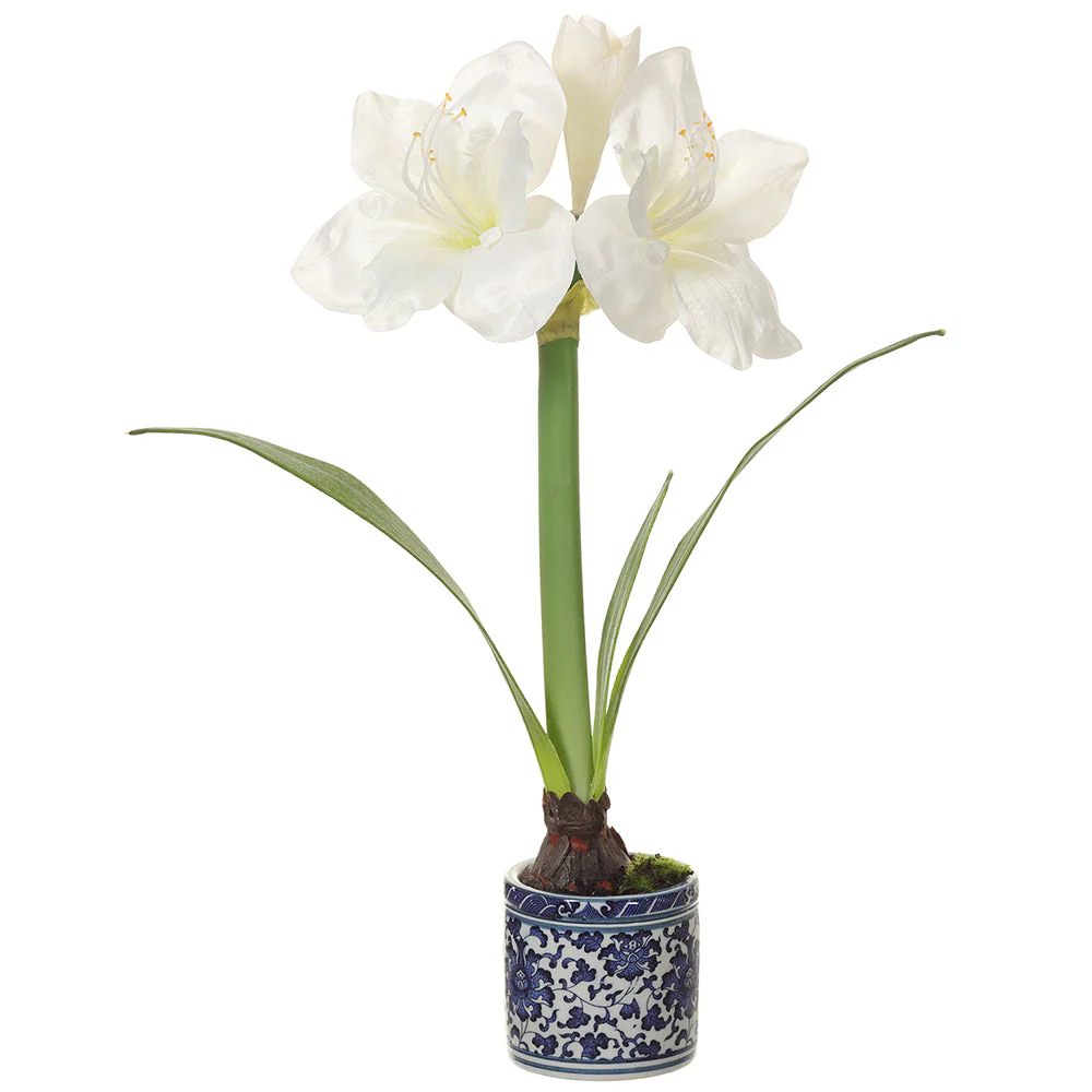 19.5" Silk Amaryllis With Bulb Flower Arrangement w/Ceramic Vase -White (Pack of 4)