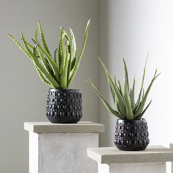 19.5"Hx16"W Artificial Agave Plant w/Cement Pot -Green - Image 2
