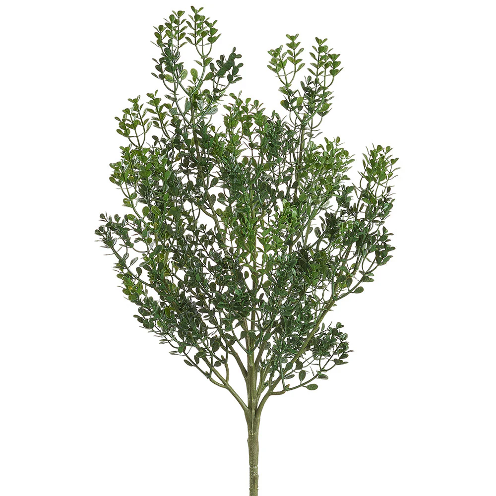 19.75" Boxwood Leaf Artificial Plant -Green (Pack of 12)