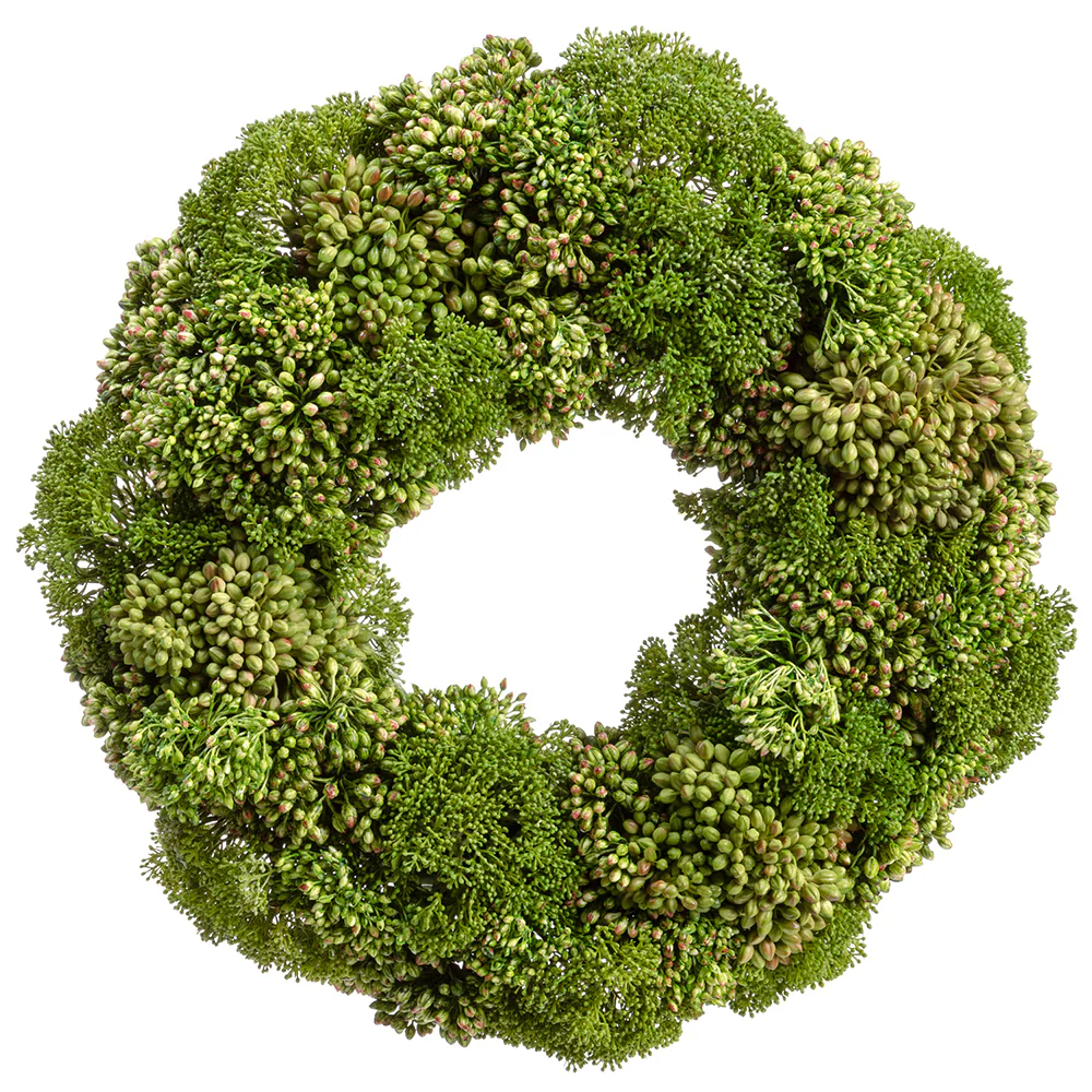 19" Artificial Sedum, Skimmia & Berry Wreath -Green