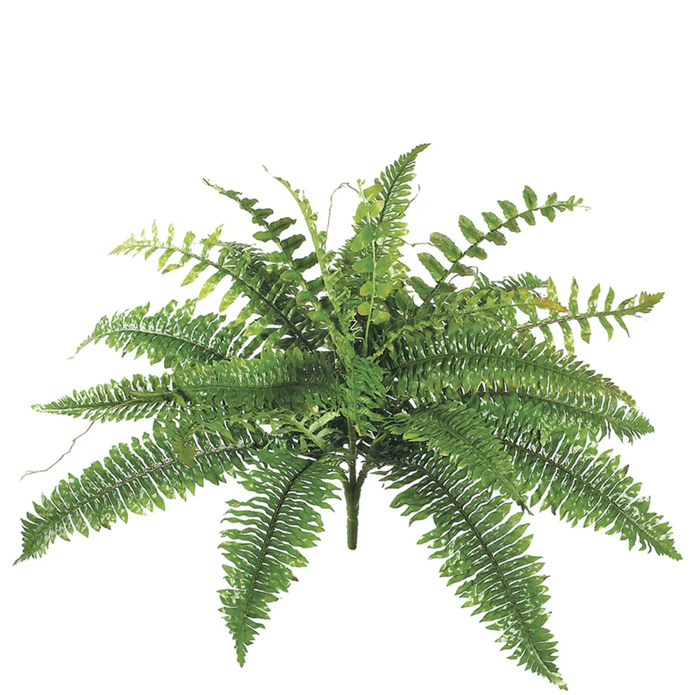 19" Boston Fern Silk Plant -24 Leaves -Green (Pack of 6)