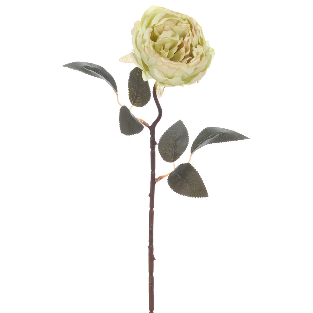 19" Cabbage Rose Silk Flower Stem -Beige (Pack of 12)