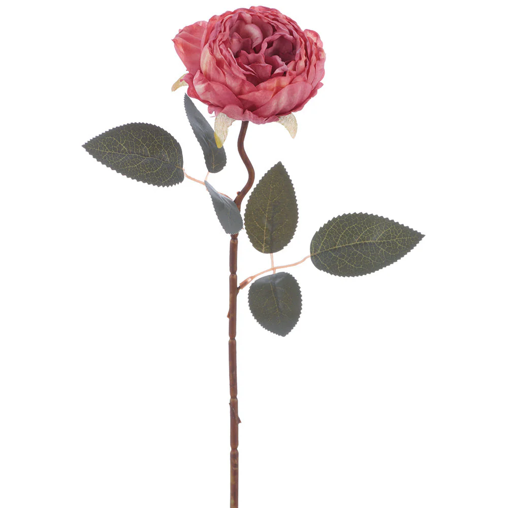 19" Cabbage Rose Silk Flower Stem -Rose (Pack of 12)
