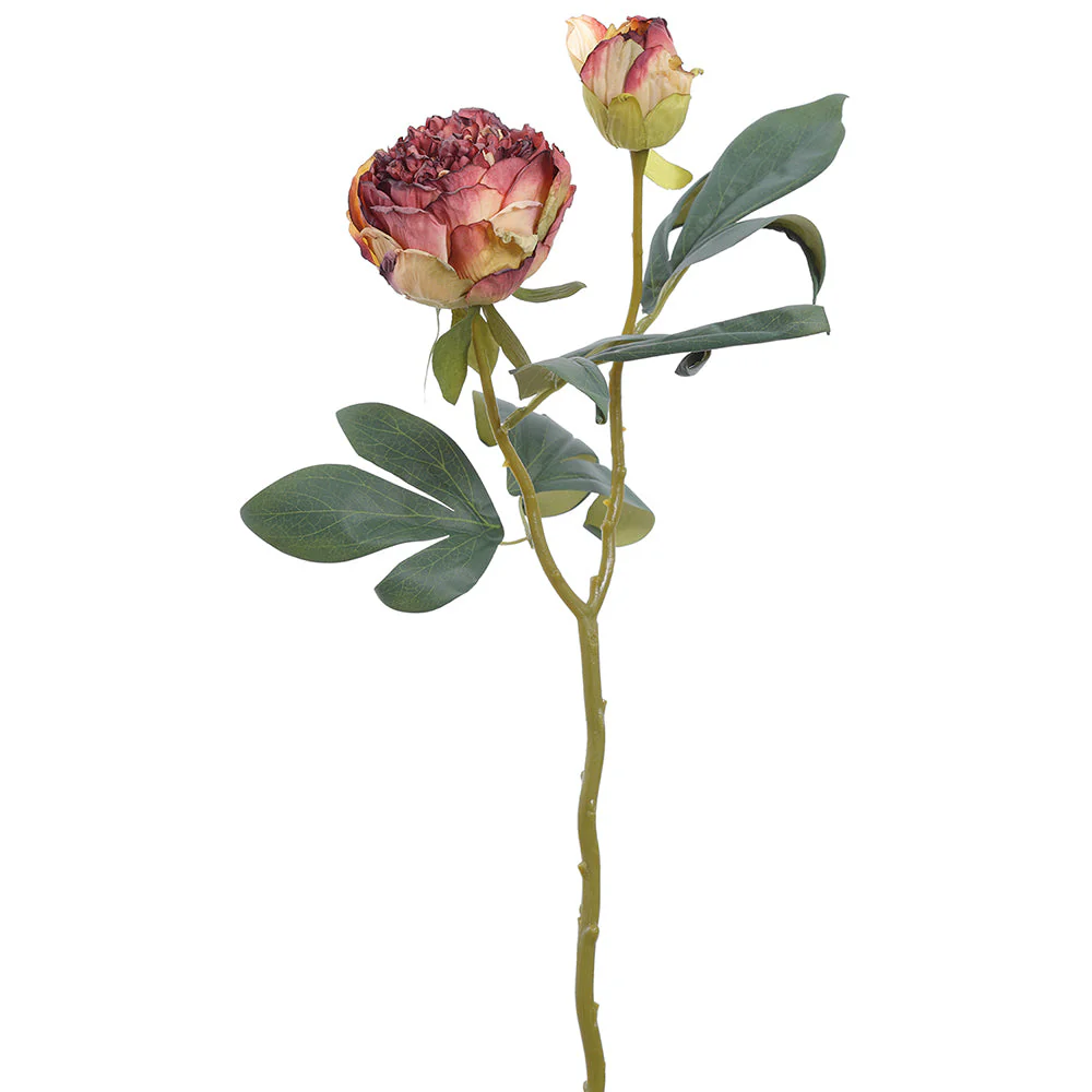 19" Dried-Look Peony Silk Flower Stem -2 Tone Burgundy (Pack of 12)
