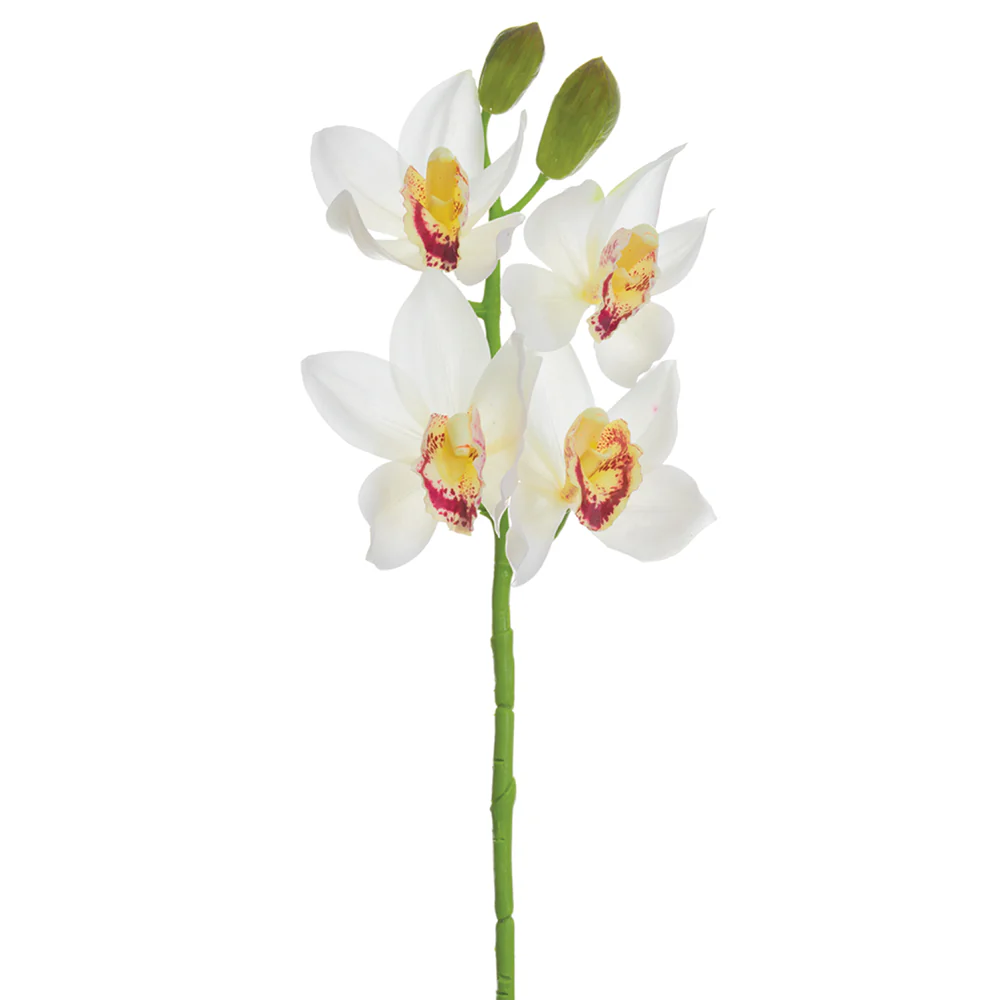 19" Hand-Wrapped Cymbidium Orchid Silk Flower Stem -Cream/Burgundy (Pack of 12)
