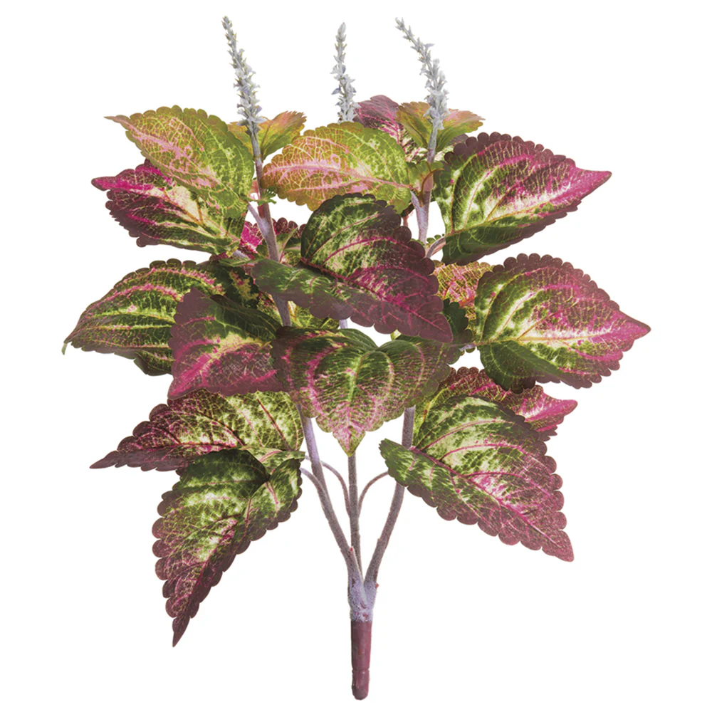 19" Large Leaf Silk Coleus Plant -Green (Pack of 12)