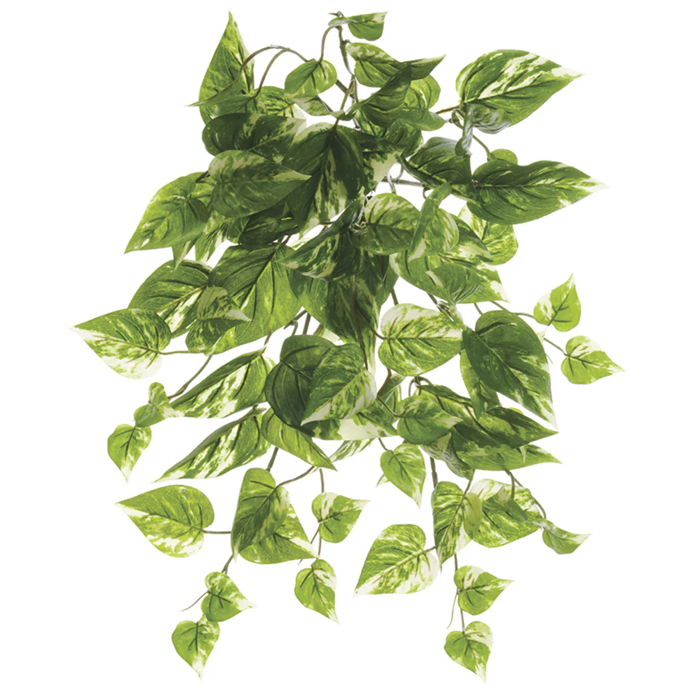 19" Outdoor UV-Resistant Artificial Pothos Hanging Plant -Green/Cream (Pack of 12)