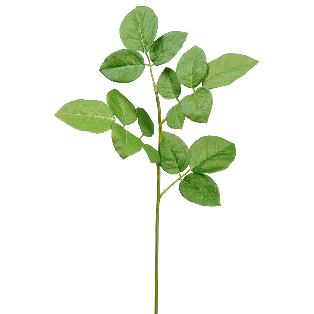 19" Rose Leaf Silk Stem -Green (Pack of 12)
