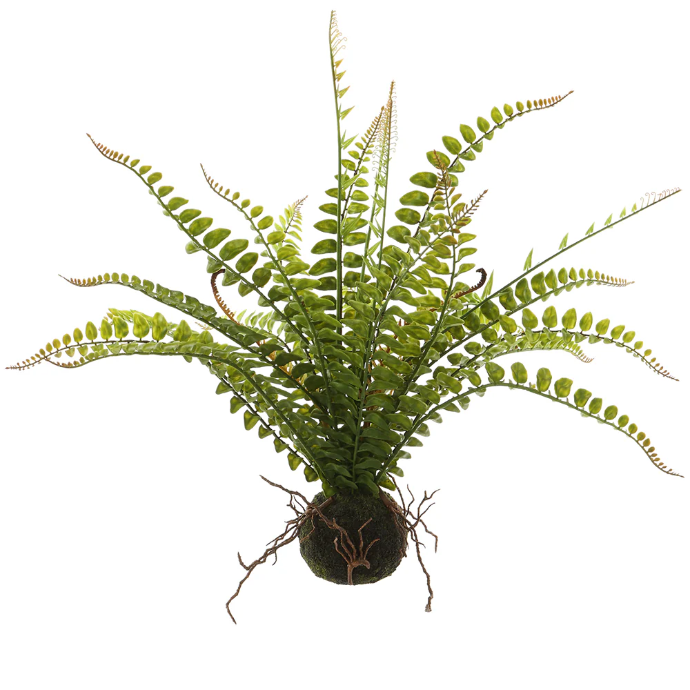 19" Silk Fern Leaf Plant w/Soil Ball -Green (Pack of 6)