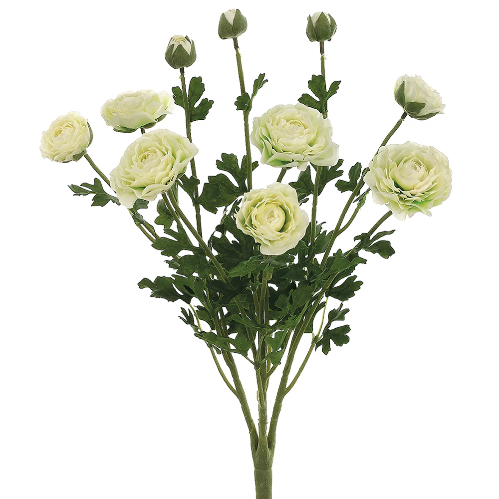 19" Silk Ranunculus Flower Bush -Cream (Pack of 6)