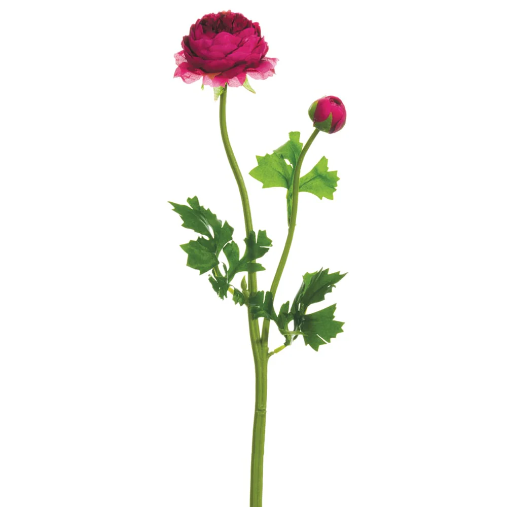 19" Silk Ranunculus Flower Spray -Boysenberry (Pack of 12)