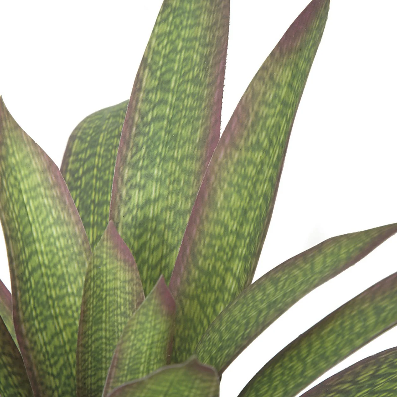 19" Soft-Touch Artificial Bromeliad Plant -Green/Red (Pack of 4) - Image 2