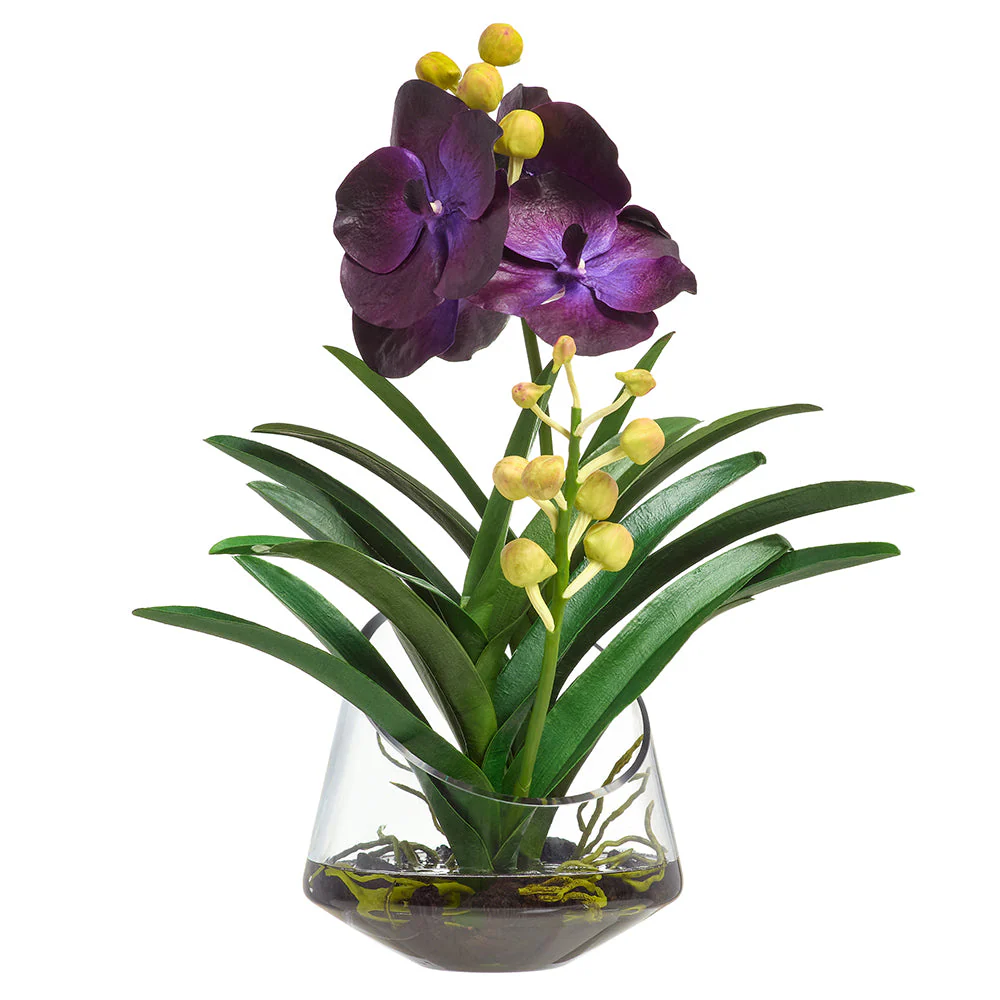 19"Hx16"W Vanda Orchid Silk Flower Arrangement w/Glass Vase -Purple