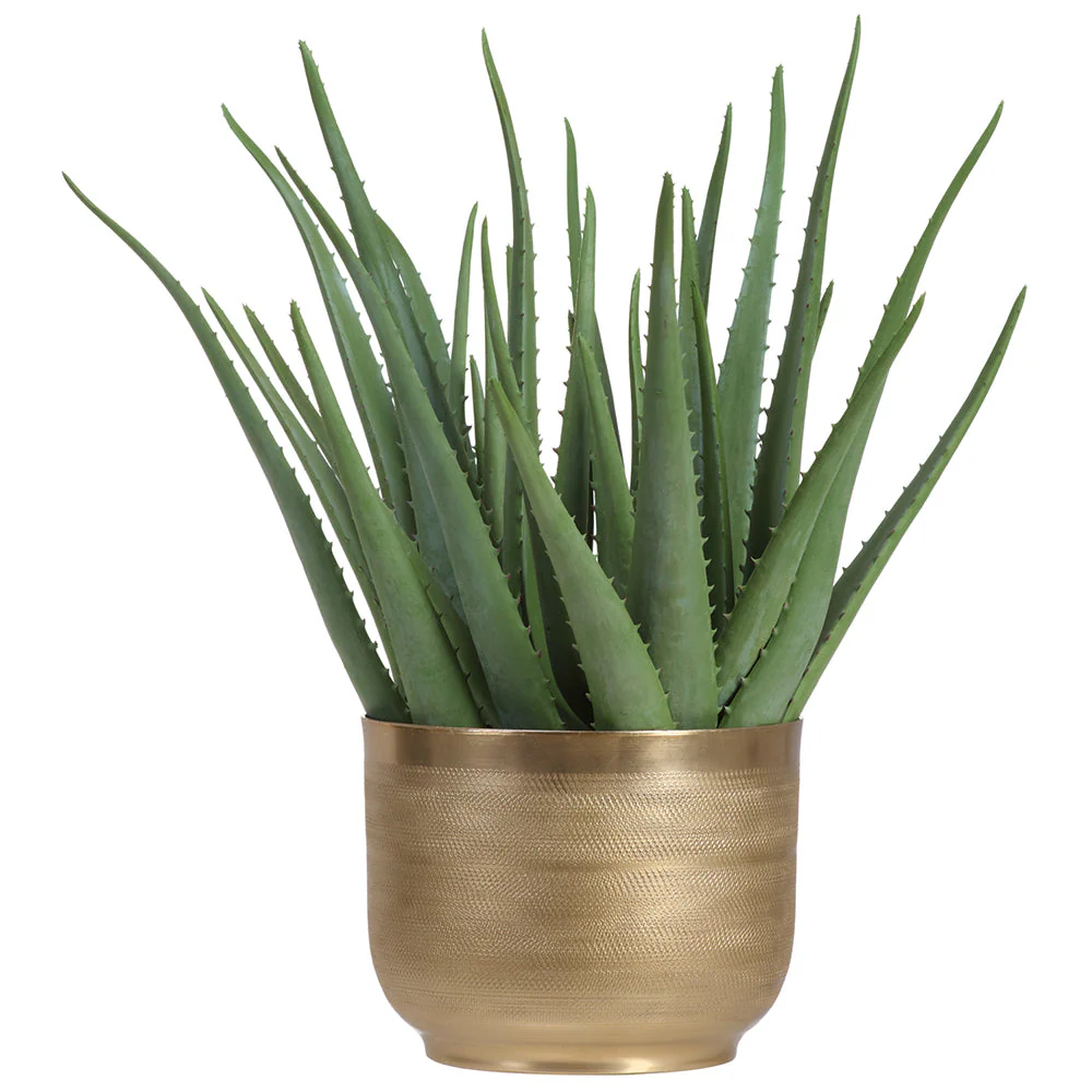19"Hx19"W Agave Artificial Plant w/Gold Metal Pot -Green