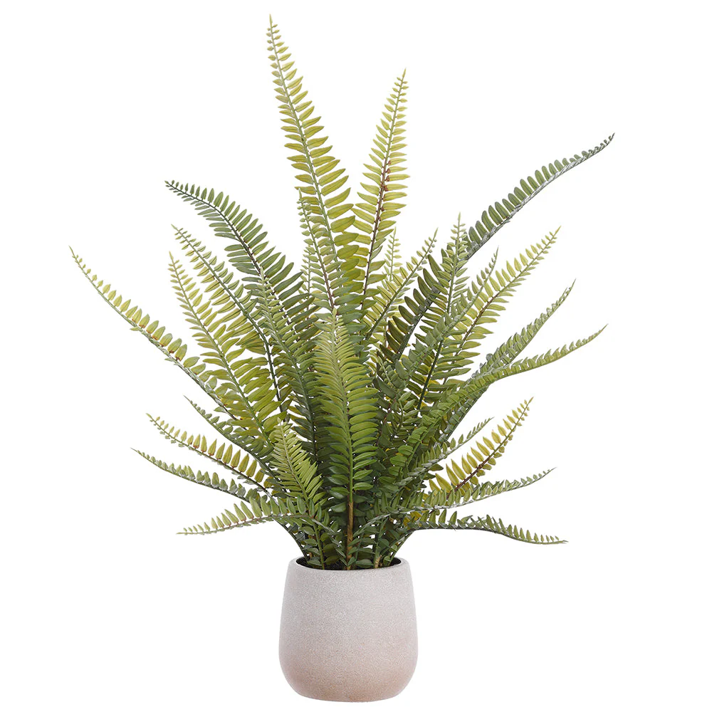 2" Sword Fern Leaf Silk Plant w/Plastic Pot -Green (Pack of 4)