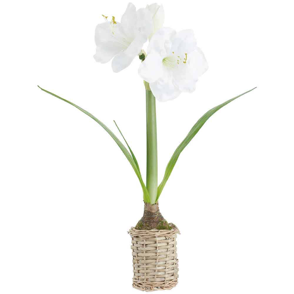 20.5" Amaryllis With Bulb Silk Flower Arrangement w/Basket -White (Pack of 4)