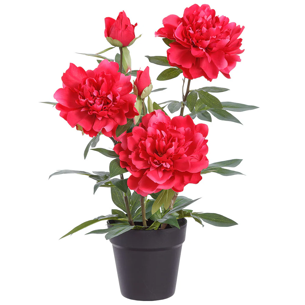 20.5" Peony Silk Flower Arrangement w/Plastic Pot -Cerise (Pack of 4)