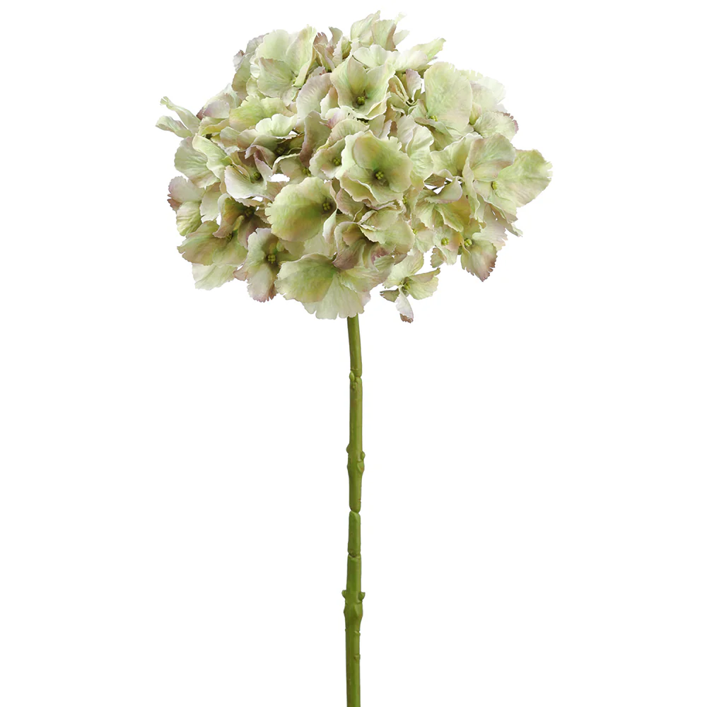 20.5" Silk Hydrangea Flower Stem -Green (Pack of 8)