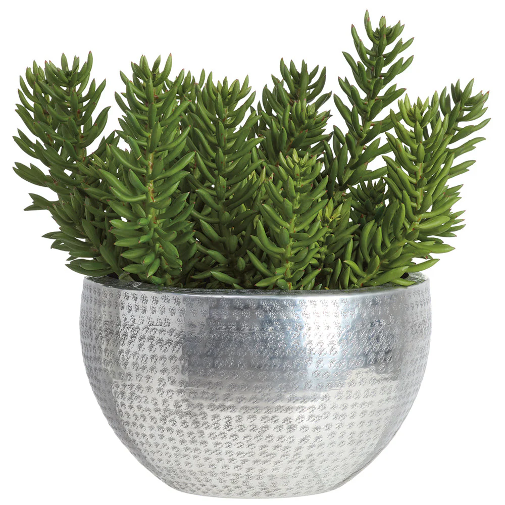 20.5"Hx20"W Senecio Succulent Artificial Plant w/Metal Bowl -Green