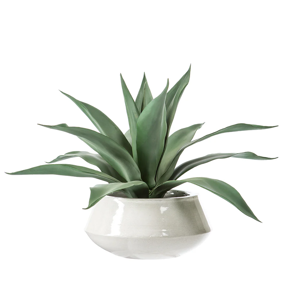 20.5"Hx32"W Artificial Agave Plant w/Planter -Green